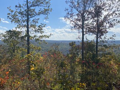 barrelchick90 thumbnail