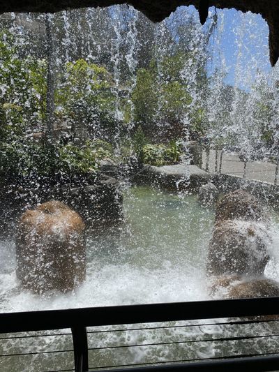 dmagicdragon thumbnail