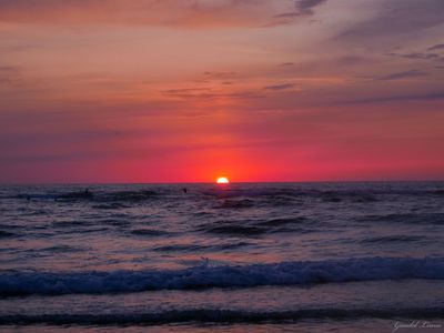 mybutterfly thumbnail