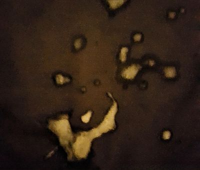 penismightier profile