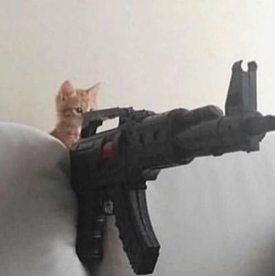 thiccboidylus thumbnail