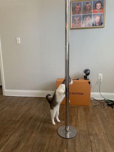 ositopersonal thumbnail