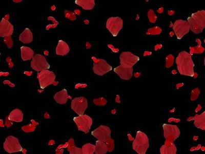 geforcejunkie thumbnail