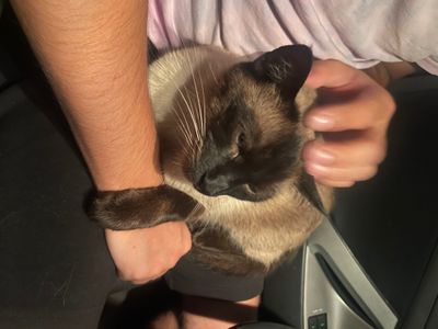 ʜɪʟʟǝʟ␈ thumbnail