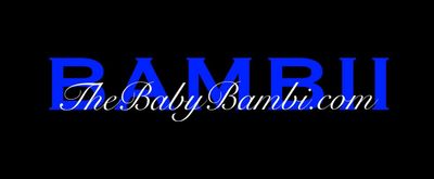 thebabybambivideo thumbnail