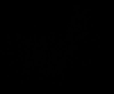 butchbe_xo98 thumbnail