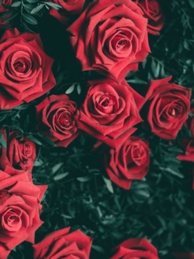 sxssysmxllsx thumbnail