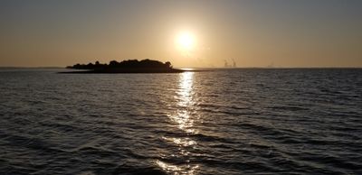 bigdaddypunn thumbnail