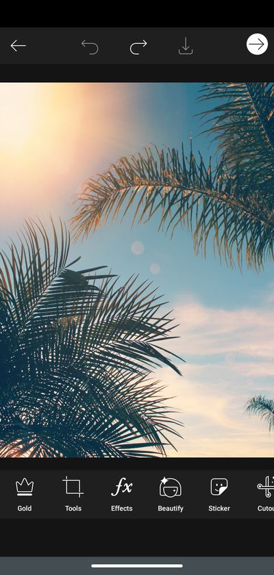 kingyking.88 thumbnail