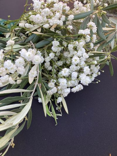 sexxxylibrarian thumbnail