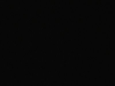 bigwhitedick420 profile