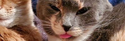 PrincessMaddieMaddz thumbnail