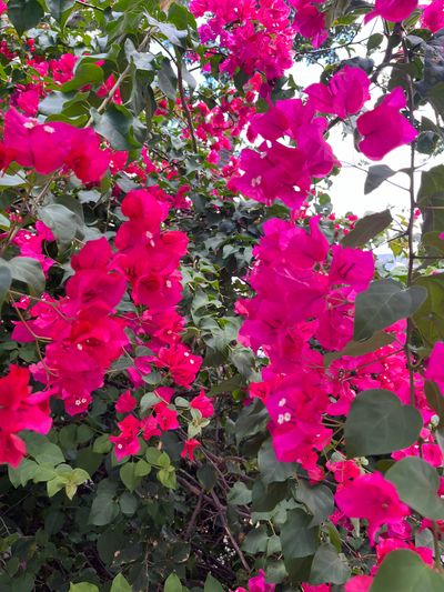 tylerashleymoore thumbnail