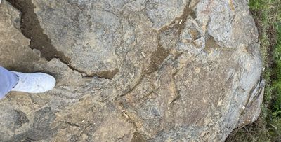 pedro_marb thumbnail