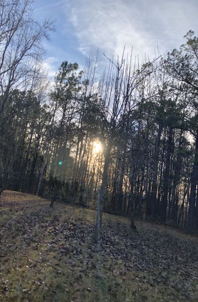 texassecret thumbnail