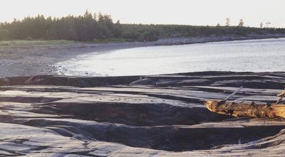 court.anne thumbnail