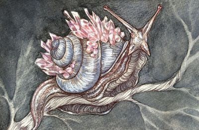 livewithboobookittyphuck thumbnail