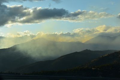 officialever.garden thumbnail