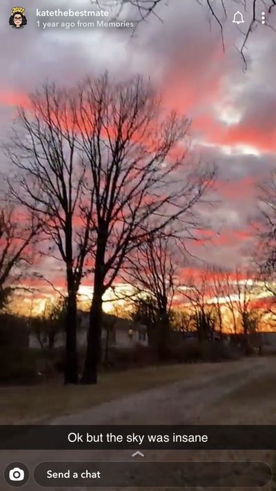 breezybear17 thumbnail