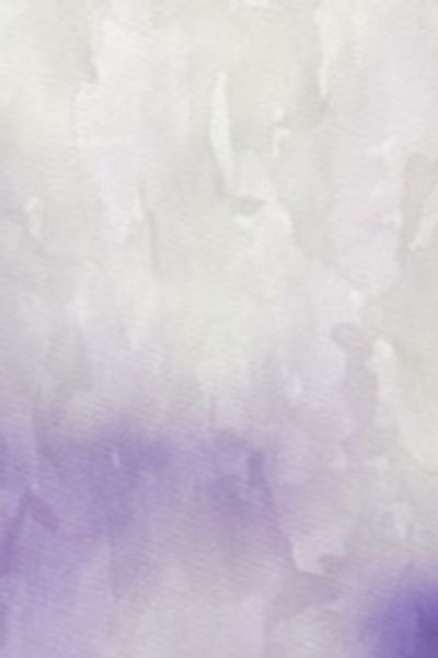 lavenderandcedarwood profile