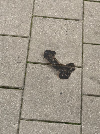 yourcherrybabii thumbnail