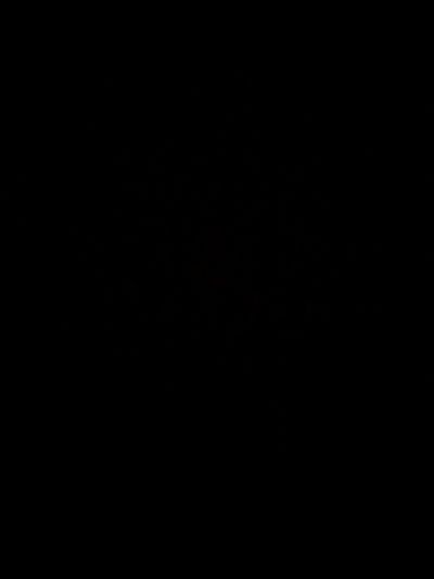 caitydidit thumbnail