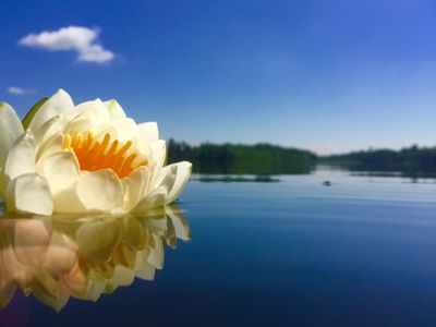 purplepanda16 thumbnail