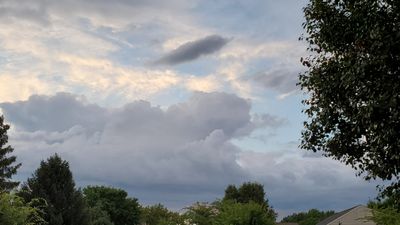 squeebus69 thumbnail