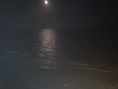 flick_city thumbnail