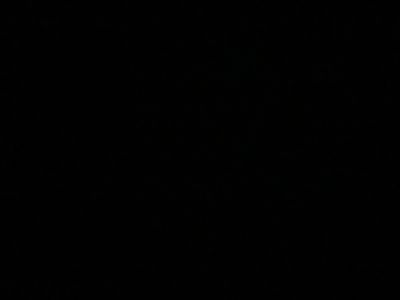 hungnready31 profile