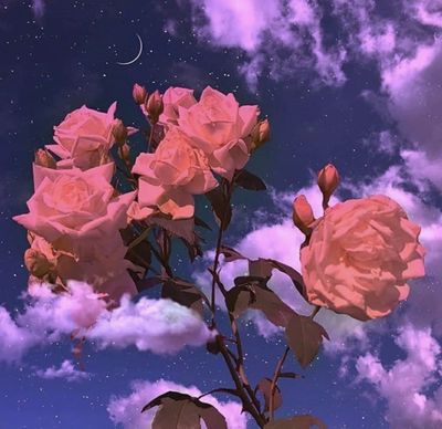 sunflowerdolll thumbnail