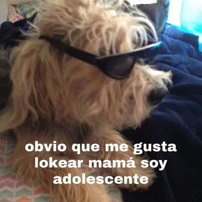 CandybearMx thumbnail