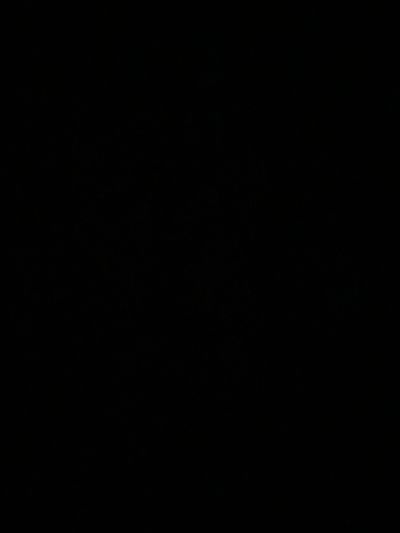 cheekytranny thumbnail