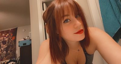 lovelylibrarian profile