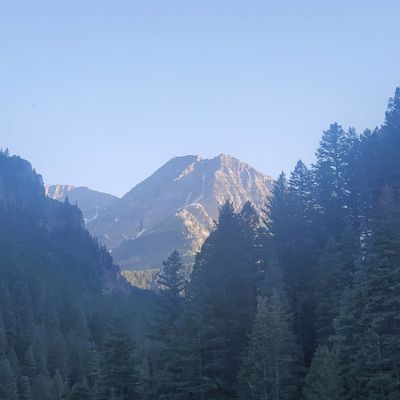 hernandez04 thumbnail