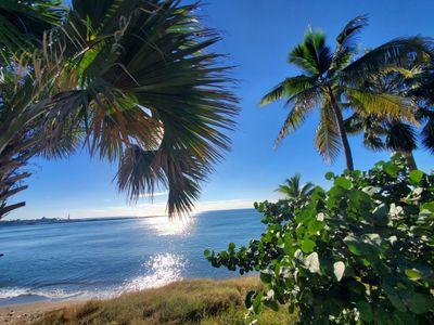 deenasty333 thumbnail