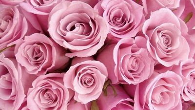 misskayenasty thumbnail