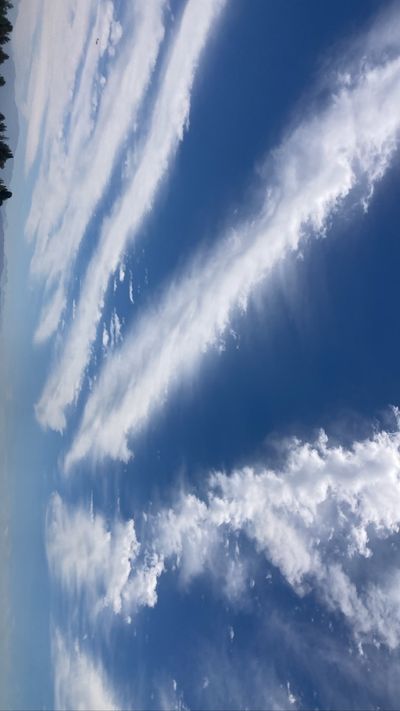 carmenjones19 profile