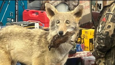 u228002427 thumbnail