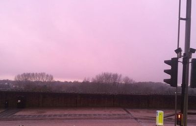 Roman Hawk thumbnail