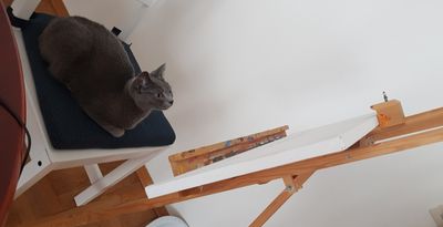 thenaughtym thumbnail