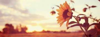 nikkiannxoxoxo thumbnail