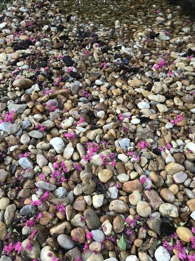 kittymuffin_xo thumbnail