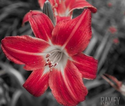 naughtynikki28 thumbnail