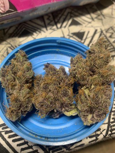 Parkeywarkey thumbnail