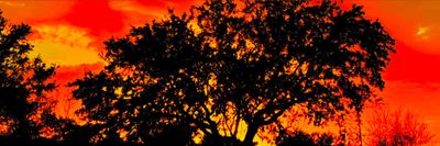 georgianhung94 thumbnail