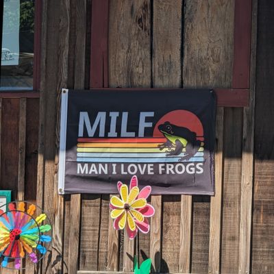 loststoner thumbnail