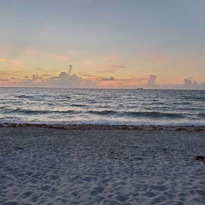 d_tweetthatshit thumbnail