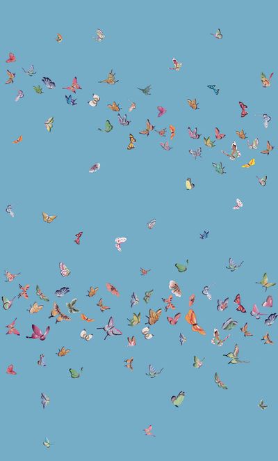 rosecoloredvera thumbnail