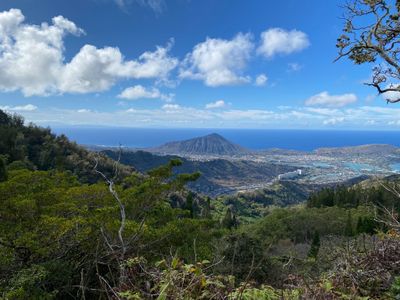 taylorchase thumbnail